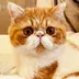 图片[30]-iOS、Android、PC 最近值得下载的 6 个 App-清源森林