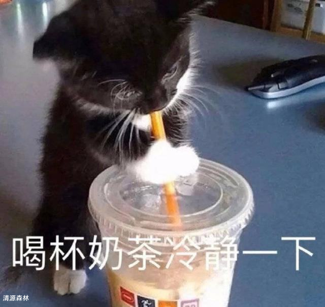 初来乍到-日常生活社区-综合其它-清源森林