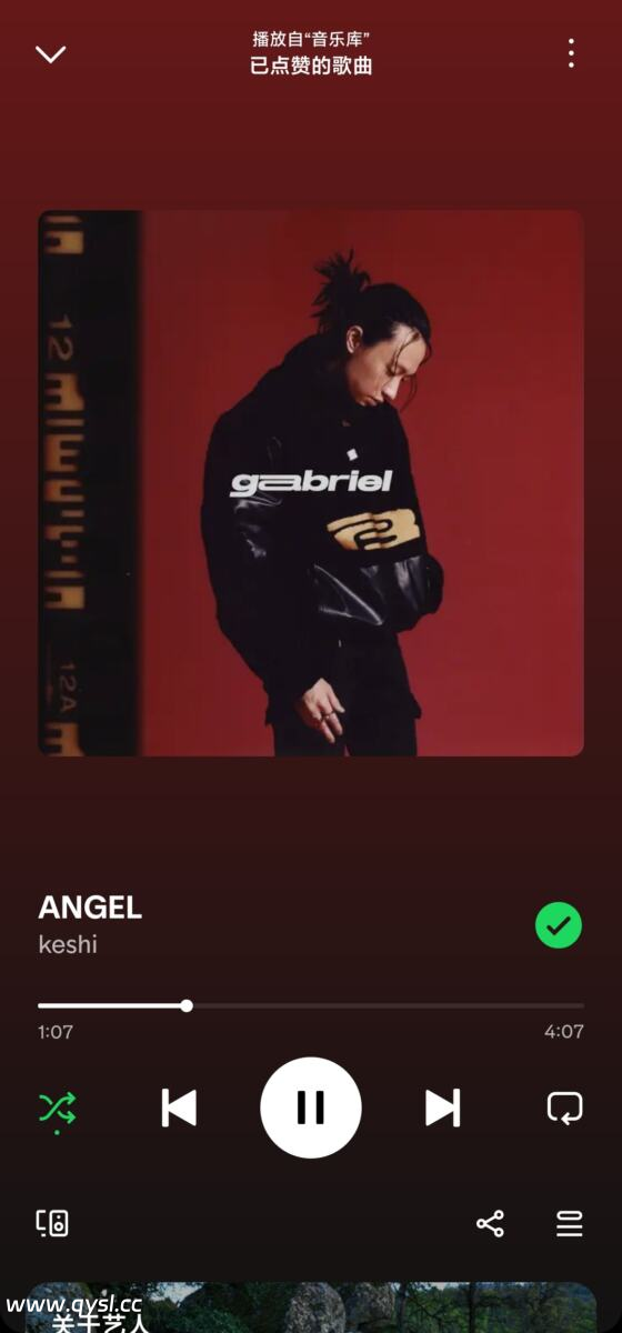 图片[2]-Spotify v9.0.44.4 高级解锁版 去广告无限切歌 声破天Premium 全球最大音乐播放器-清源森林